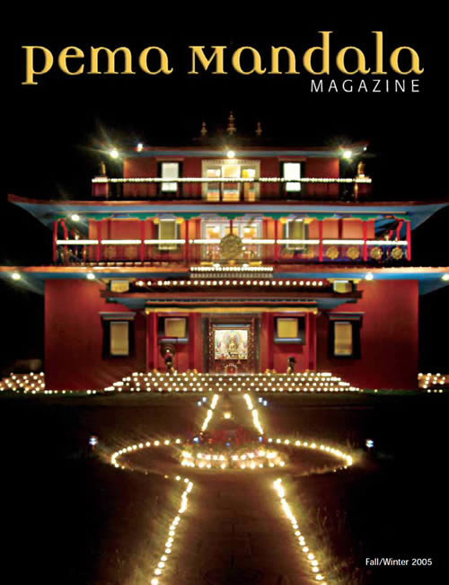 Fall 2005 Issue